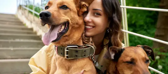 Pet Medications